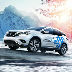 Siberian Wellness Program Auto